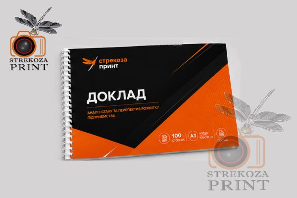 Переплет до 100 страниц А3
